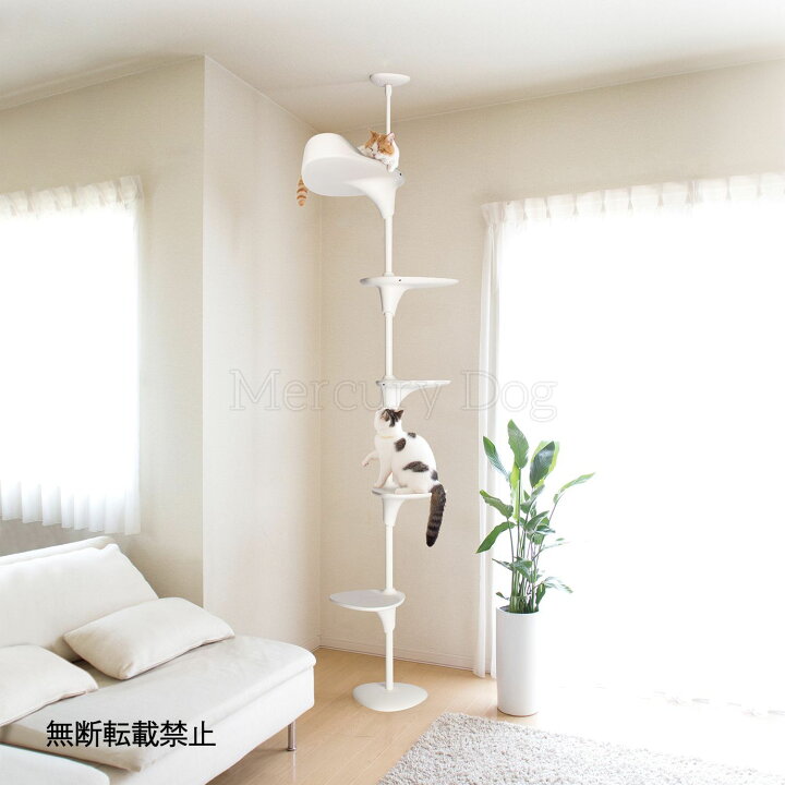 楽天市場】OPPO Cat Forest-2／オッポ キャットフォレスト2キャット 