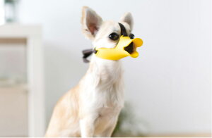 OPPO quack(NAbN) SM/CG[