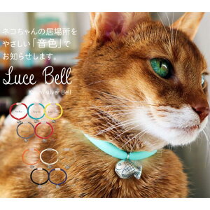 necono@L̎ց@wLuce@Bellx@-[`F@x- }EXO[@Lpi  J[
