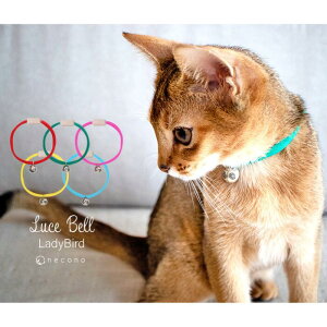 necono@L̎ց@wLuce@Bellx@-[`F@x@fBo[h- XJCu[@Lpi  J[