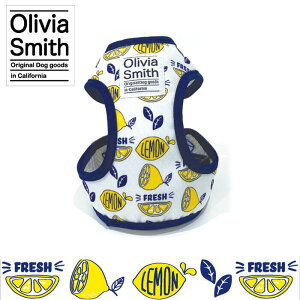 IrAEX~X@ xXgn[lX tbV TCY3pi   [h n[lX