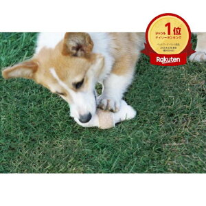 ecololo 知育トイ(リングボーン)S犬おもちゃ ロープ デンタル デンタル オーガニック やさしい ecololo デリケート オーガニックコットン 知育トイ オモチャ デンタルトイ オーガニックトイ