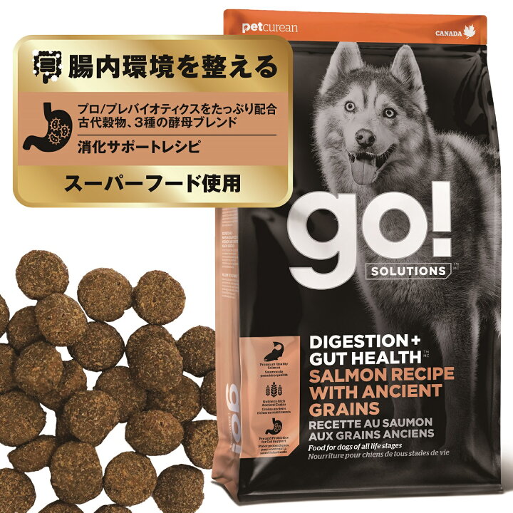 楽天市場】【NOWサンプルセットプレゼント付き!】GO! 消化 腸の健康 