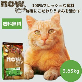 【選べるサンプル3個プレゼント付き】ナウフレッシュ キトン3.63kgNOW FRESH 子猫 正規品 キャットフード ペットフード ドライフード グレインフリー穀物不使用 高栄養 仔猫 食いつく 送料無料