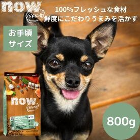 【選べるサンプル3個プレゼント付き】ナウフレッシュ スモールブリード フィッシュアダルト800gNOW FRESH 小型犬 正規品 ドッグフード ペットフード ドライフード グレインフリー 成犬用　ナチュラル　小粒　魚 穀物不使用 サーモン 低アレルギー