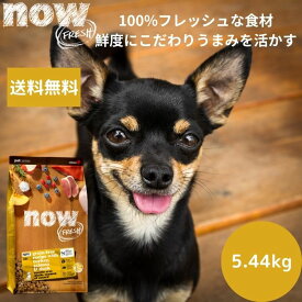 【選べるサンプル3個プレゼント付き】送料無料NOW FRESHナウフレッシュ パピー（12lb）5.44kgNOW FRESH 子犬 正規品 ドッグフード ペットフード ドライフード グレインフリー中粒 穀物不使用 サーモン 送料無料 中型犬