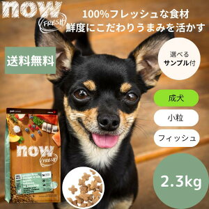 yIׂTv3v[gtziEtbV X[u[h tBbVA_g2.3kgNOW FRESH ^ Ki hbOt[h ybgt[h hCt[h OCt[ p@i