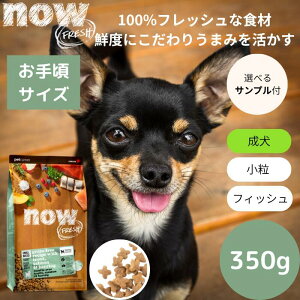 yIׂTv3v[gtziEtbV X[u[h tBbVA_g350gNOW FRESH ^ Ki hbOt[h ybgt[h hCt[h OCt[ p@i