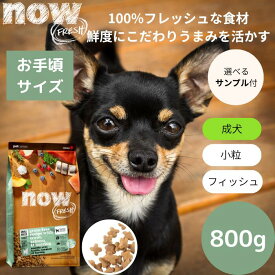 【選べるサンプル3個プレゼント付き】ナウフレッシュ スモールブリード フィッシュアダルト800gNOW FRESH 小型犬 正規品 ドッグフード ペットフード ドライフード グレインフリー 成犬用　ナチュラル　小粒　魚 低アレルギー