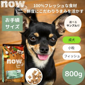 yIׂTv3v[gtziEtbV X[u[h tBbVA_g800gNOW FRESH ^ Ki hbOt[h ybgt[h hCt[h OCt[ p@i