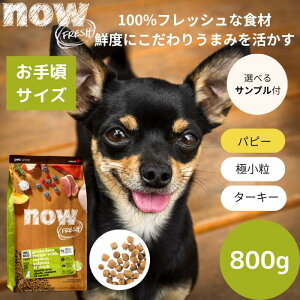 yIׂTv3v[gtziEtbVNOW FRESH X[u[h ps[800gNOW FRESH ^ Ki hbOt[h ybgt[h hCt[h OCt[ qp@ 