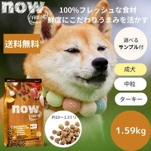 yIׂTv3v[gtzNOW FRESHiEtbV A_g1.59kgNOW FRESH  Ki hbOt[h ybgt[h hCt[h OCt[@@ sgp _bN 