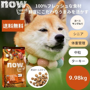 yIׂTv3v[gtzNOW FRESHiEtbV VjA&EFCg}lWg9.98kg ̏dǗ _CGbg Ki hbOt[h ybgt[h hCt[h OC