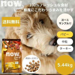 yIׂTv3v[gtzNOW FRESHiEtbV ps[i12lbj5.44kgNOW FRESH q Ki hbOt[h ybgt[h hCt[h OCt[ sgp T[