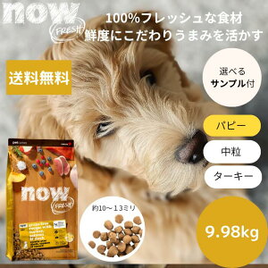 yIׂTv3v[gtzNOW FRESHiEtbV ps[9.98kgNOW FRESH q Ki hbOt[h ybgt[h hCt[h OCt[@ sgp _bN 