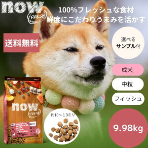 �y�I�ׂ�T���v��3�v���[���g�t���z��������NOW FRESH�i�E�t���b�V�� �t�B�b�V���A�_���g9.98kgNOW FRESH ���� �T�[���� ���K�i �h�b�O�t�[�h �y�b�g�t�[�h �h���C�t�[�h �O���C���t���[�@����