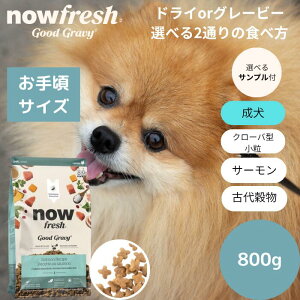 yIׂTv3v[gtziEtbV ObhO[r[X[u[hT[Vs800gNOW FRESH ^ Ki hbOt[h ybgt[h hCt[h p@Vj