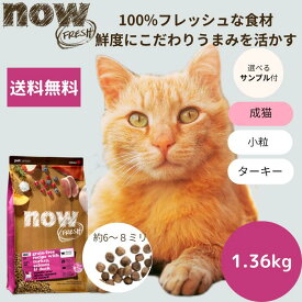 【選べるサンプル3個プレゼント付き】ナウフレッシュ アダルトキャット1.36kgNOW FRESH 成猫 正規品 キャットフード ペットフード ドライフード グレインフリー 穀物不使用 食いつく送料無料