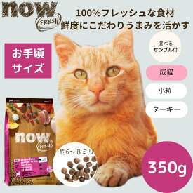 【選べるサンプル3個プレゼント付き】ナウフレッシュ アダルトキャット350gNOW FRESH 成猫 正規品 キャットフード ペットフード ドライフード グレインフリー 穀物不使用 食いつく