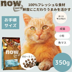 【選べるサンプル3個プレゼント付き】ナウフレッシュ フィッシュアダルトキャット350gNOW FRESH 成猫 サーモン 正規品 キャットフード ペットフード ドライフード グレインフリー 穀物不使用 食いつく低アレルギー 魚
