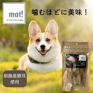 mot!HY@葢؎XeBbN@50ghbOt[h @W[L[ Y@ؓ@WrG@p@Lp FLF@؎@