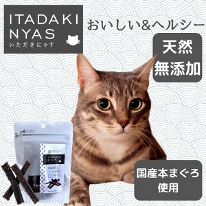 yzɂႷ {܂pp 15gLbgt[h  W[L[ Y AM[ wV[ L Lp FLF  ق gbsO Y Hׂ Lp F 