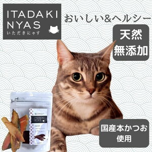 yzɂႷ {XCXiYj 20gLbgt[h  W[L[ Y AM[ wV[ L Lp FLF  ق gbsO Y Hׂ 