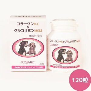 yAj}XgXTvZbgv[gt!z݂̕ɁuR[QV.C&ORT~MSMv120ybg Tvg R[Q ORT~ ֐߃PA 