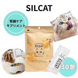 SILCATLp 30LpTvg t ӂ肩 VNt@t̃Tvg@L\h@A`GCWO