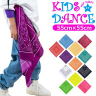 バンダナ ペーズリー ペイズリー柄 ハンカチ 大判 女の子 男の子 子供 キッズ 総柄 レッド ブルー グリー…