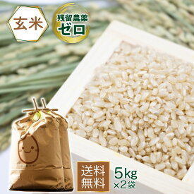 アレルギー特定原材料不使用 玄米 ピロール米 5kg 2袋セット 送料無料 残留農薬不検出 弱アルカリ性 菌活 国産 ビタミンB12含有 100%植物性 腸活 ヘルシー 贈り物 ギフト 美味しい 健康米 自然農法 検査済み 徹底管理 美味しい 健康米 検査済み 徹底管理 米糠 お中元 お歳暮