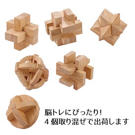 楽天市場 頭脳パズルの通販