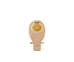 ZV 1 vX 15635 F vJbg Ja31mm 110 RvXgyԕisz