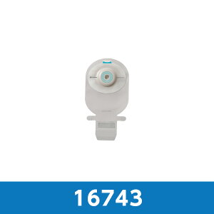 ZV ~I1 Cg 16743 vJbg Ja31mm 110 RvXgyԕisz