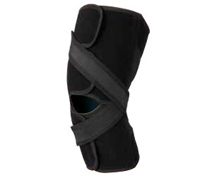 �j�[�P�A�[ OA 2 �E SS�T�C�Y 19245 ��ڎ���32�`35cm �G����29�`33cm 1�� �A���P�A�y�ԕi�s�z