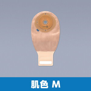 GXeB[ _u tB^[t 413521 F ETCYM 110 RoebNyԕisz