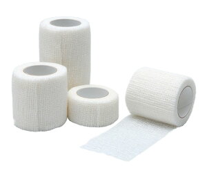 сEtBbNX 2 5.0cmxL4m 10/ 17152 APA yсzyԕisz