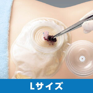 T[Wh[ I[vgbv L 15683 ܃TCY235mmx150mm L80mmx60mm 12 APAyԕisz