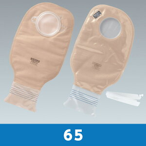 [PA[ 2 Df 65 16613 ELtB^[t 110 ې APAyԕisz