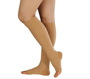 AVN 3 nC\bNX L CguE 18622 APAyeXgbLOzyzy×pzyԕisz