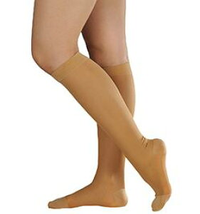 AVN 2 uCg nC\bNX S i`x[W 18563 APAyeXgbLOzyzy×pzyԕisz