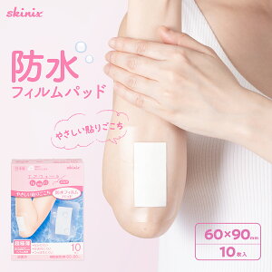 skinix GAEH[ӂpbh 60×90mm 10 h 傫 Jnp pbht [o tBhbVO ŋ 1 YB-226910Tyԕisz