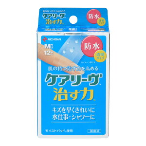 PA[ h^Cv MTCY CNB12M 12 j`oyԕisz