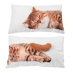 MEREZA L  NbV |GXe 45×27cm 2Zbg   NbVJo[ ybg 킢 ӂӂ vg  ʃNbV ˂NbV LNbVJo[ 