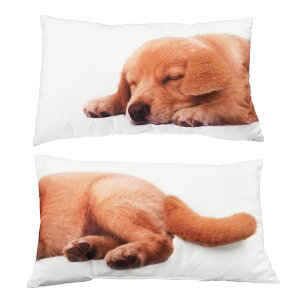 MEREZA L  NbV |GXe 45×27cm 2Zbg   NbVJo[ ybg 킢 ӂӂ vg  ʃNbV ˂NbV LNbVJo[ 