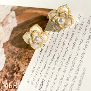 p[sAX S2204 Vo[925|Xg p[ t[  i sAX Ԃ ؂₩ Zj[  EGfBO 񎟉 Ă΂ v fC[ IP[Wi JWA lC AN