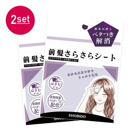 [2箱セット] 前髪さらさらシート 【40枚入り×2個】はさむだけ ベタつき解消 白残りしない 皮脂吸収 皮脂吸着パウダー お出かけ前 汗をかいた時 お化粧直しの時 汗吸収 はさむだけ ヘアスタイリング 前髪 おくれ毛 送料無料