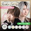 カラコン アシストシュシュ ハスキーアイ：Reワンデー 【1箱6枚入】Husky Eye:Re 1Day 白眼 赤 青 黄 緑 レッド ブルー グリーン イエロー グレー 三白眼風 お試し 度あり 度なし ハロウィン 仮装 コスプレ系 Assist ChouChou 送料無料