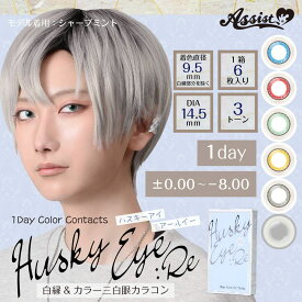 カラコン アシストシュシュ ハスキーアイ：Reワンデー 【1箱6枚入】Husky Eye:Re 1Day 白眼 赤 青 黄 緑 レッド ブルー グリーン イエロー グレー 三白眼風 お試し 度あり 度なし ハロウィン 仮装 コスプレ系 Assist ChouChou 送料無料