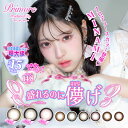 カラコン プリモア 1day【1箱10枚入り】PRIMORE 1day 1日 ワンデー レンズサイズ日本最大級 MINAMI 度あり 度なし DIA15.0mm 着色直径14.6mm UVカット 低含水38.5% カラーコンタクト 送料無料 モテコン